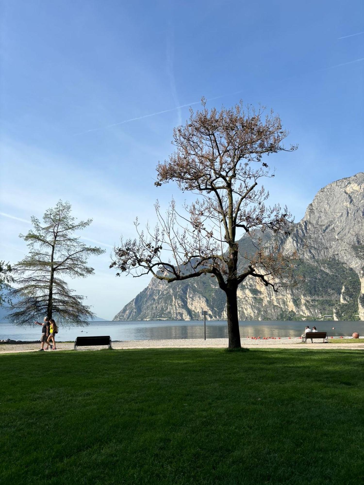 Garden & Pool Perugini Lägenhet Torbole Sul Garda Exteriör bild